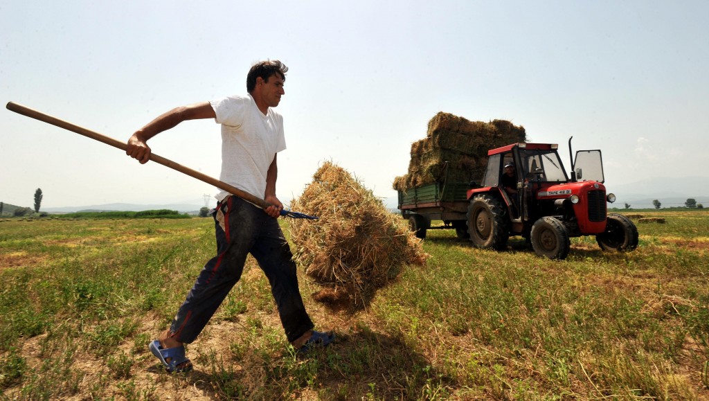 Αγροσύμβουλος Ο.Ε. - Νέοι Αγρότες 2013