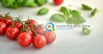 Ντοματάκι Cherry | Καλλιεργητικές Τεχνικές